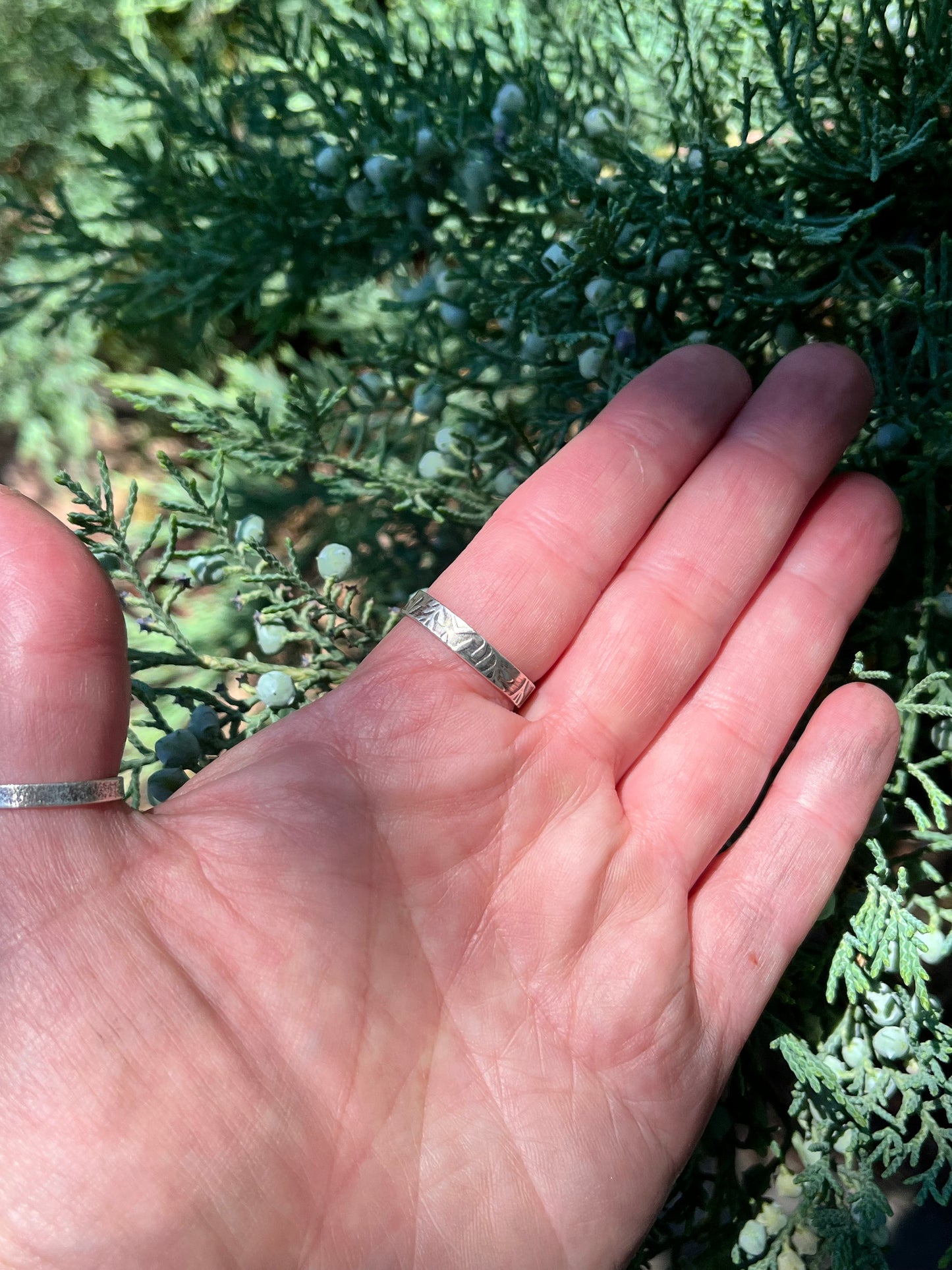The Heliodore Ring