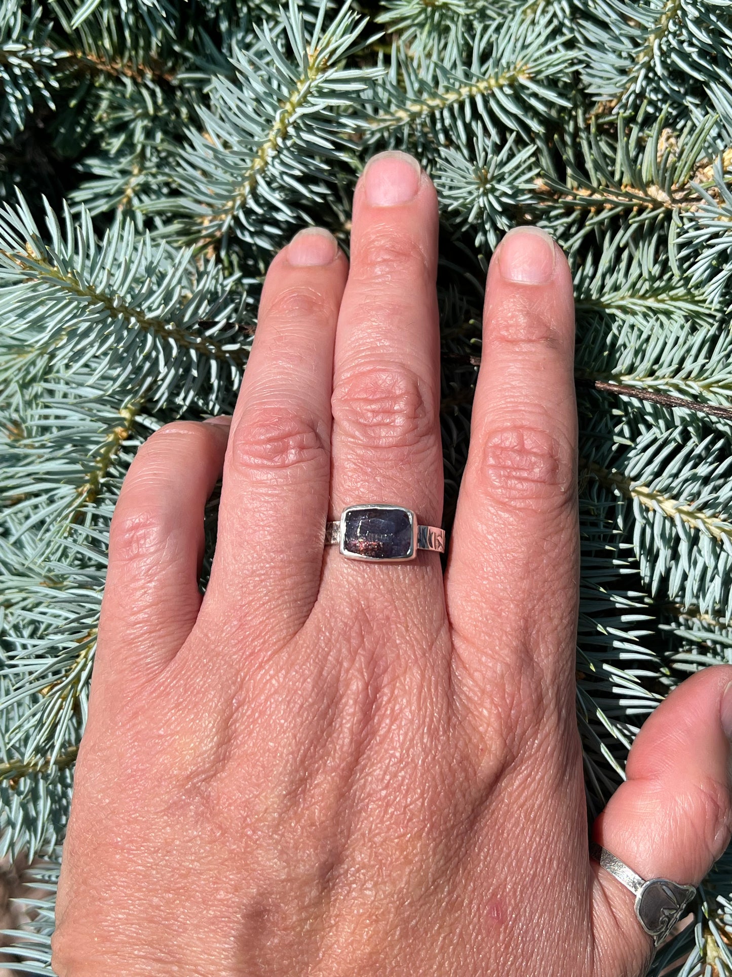 The Heliodore Ring