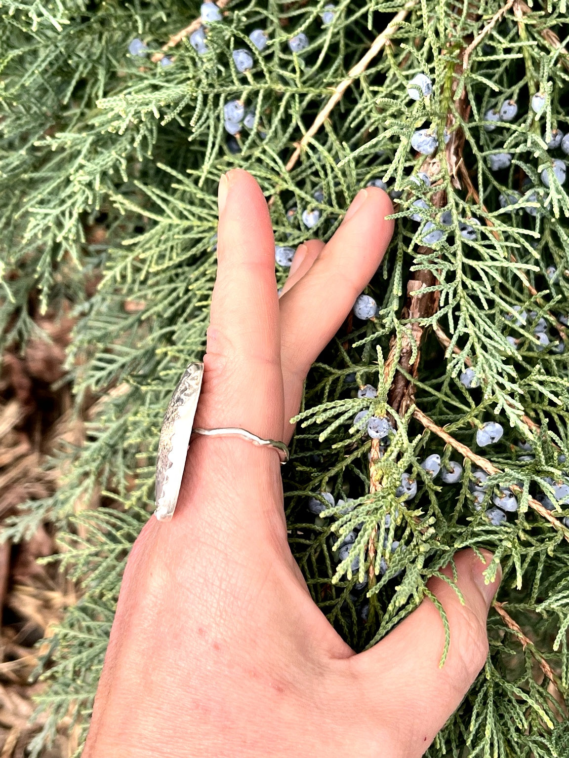 Sterling Silver Triangle Moss Agate Ring, Botanical Back, Size 8