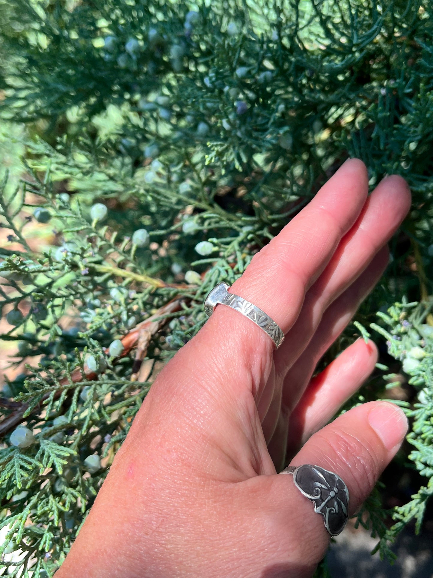The Heliodore Ring